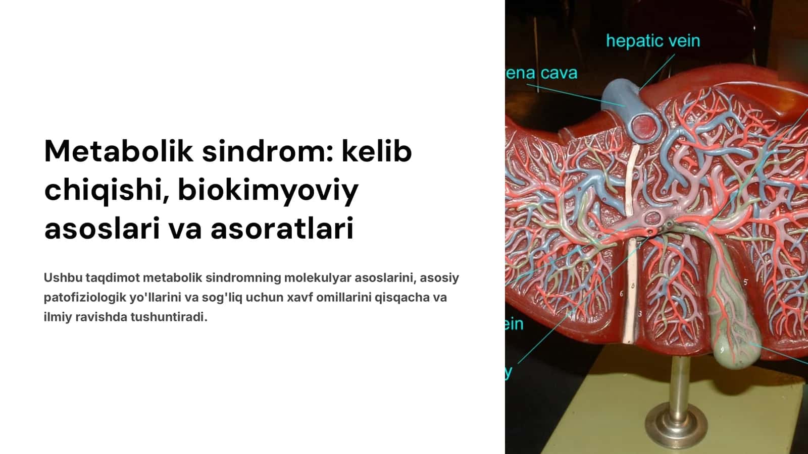 Metabolik sindrom: kelib chiqishi, biokimyoviy asoslari va asoratlari