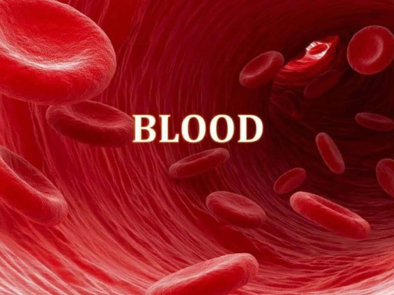 Blood