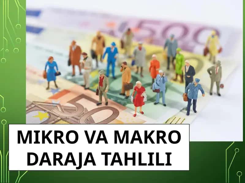 MIKRO VA MAKRO DARAJA TAHLILI