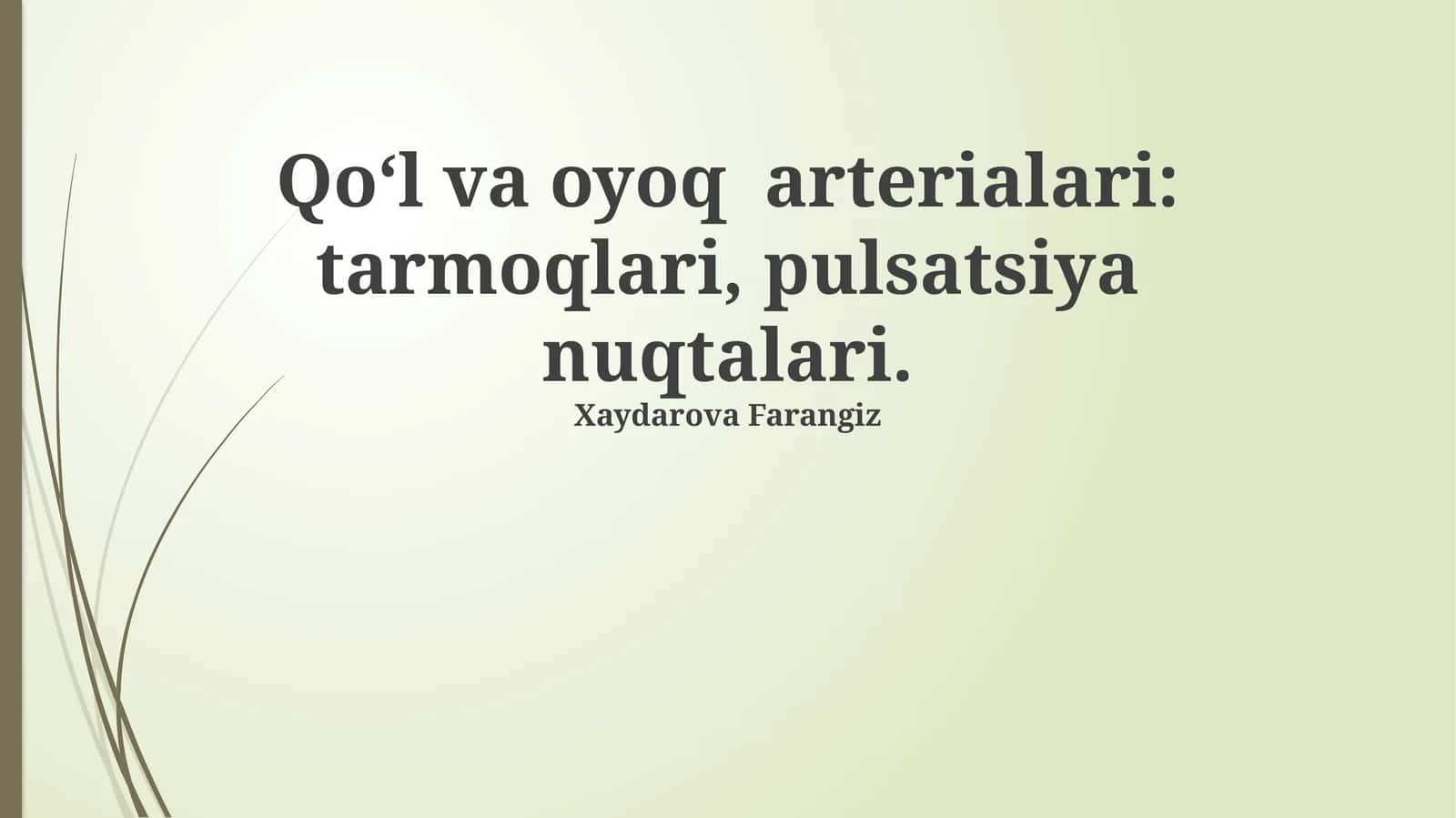 Qo'l va oyoq arterialari: tarmoqlari, pulsatsiya nuqtalari