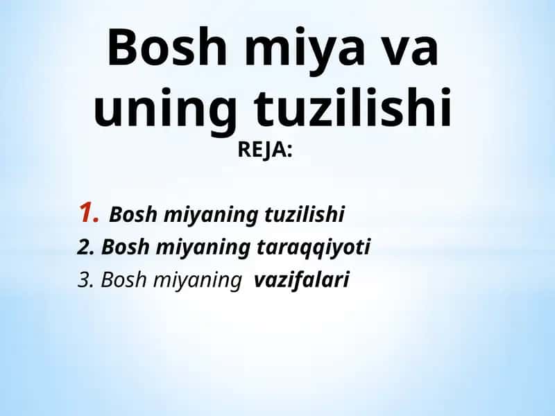 Bosh miya va uning tuzilishi