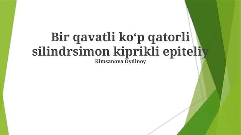 Bir qavatli ko‘p qatorli silindrsimon kiprikli epiteliy