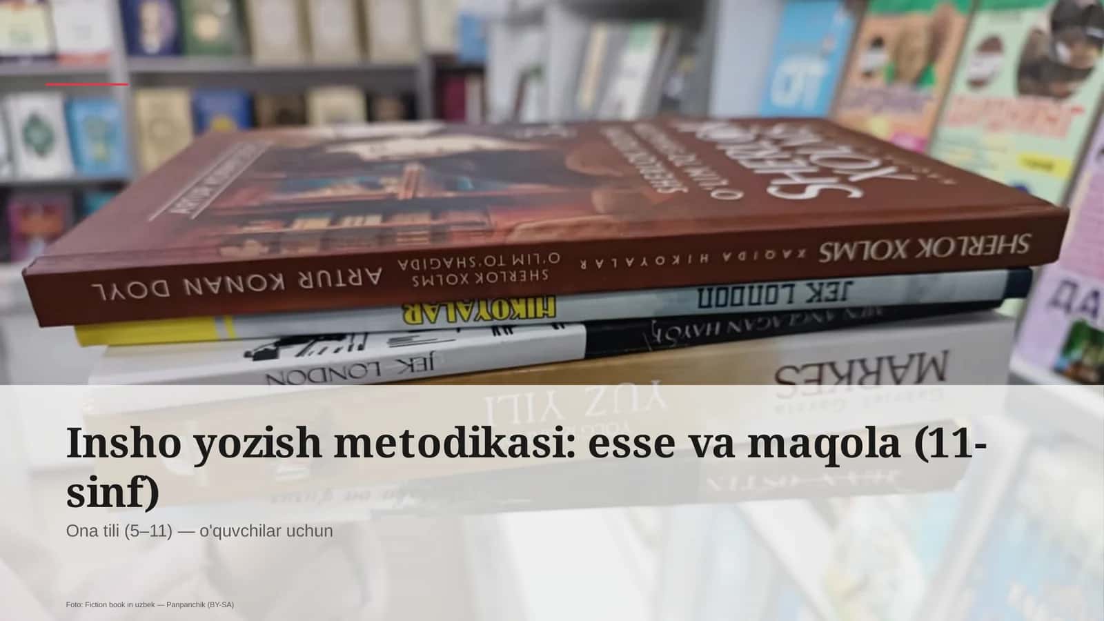 Insho yozish metodikasi: esse va maqola (11-sinf)