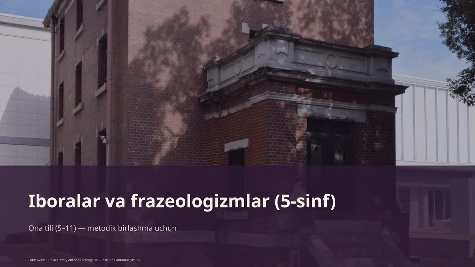 Iboralar va frazeologizmlar (5-sinf)