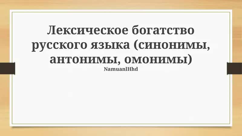 Лексическое богатство русского языка (синонимы, антонимы, омонимы)