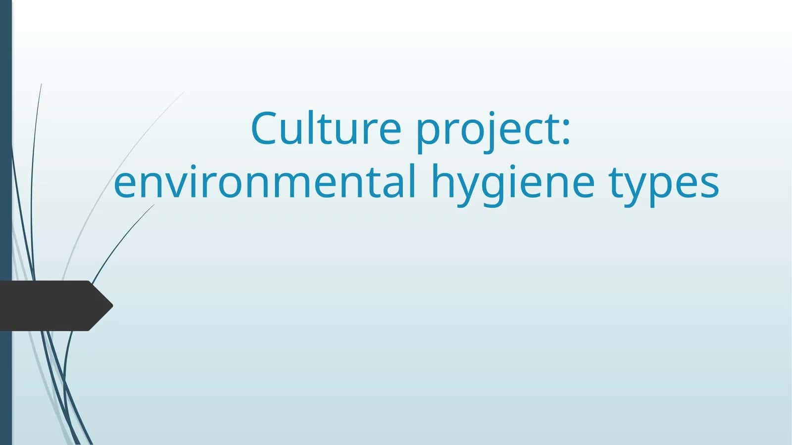 Culture project environmental hygiene types