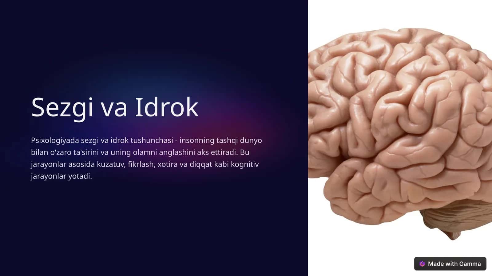 Sezgi va Idrok