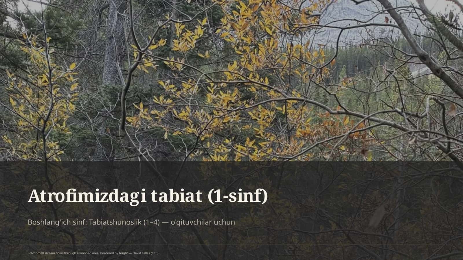 Atrofimizdagi tabiat (1-sinf)