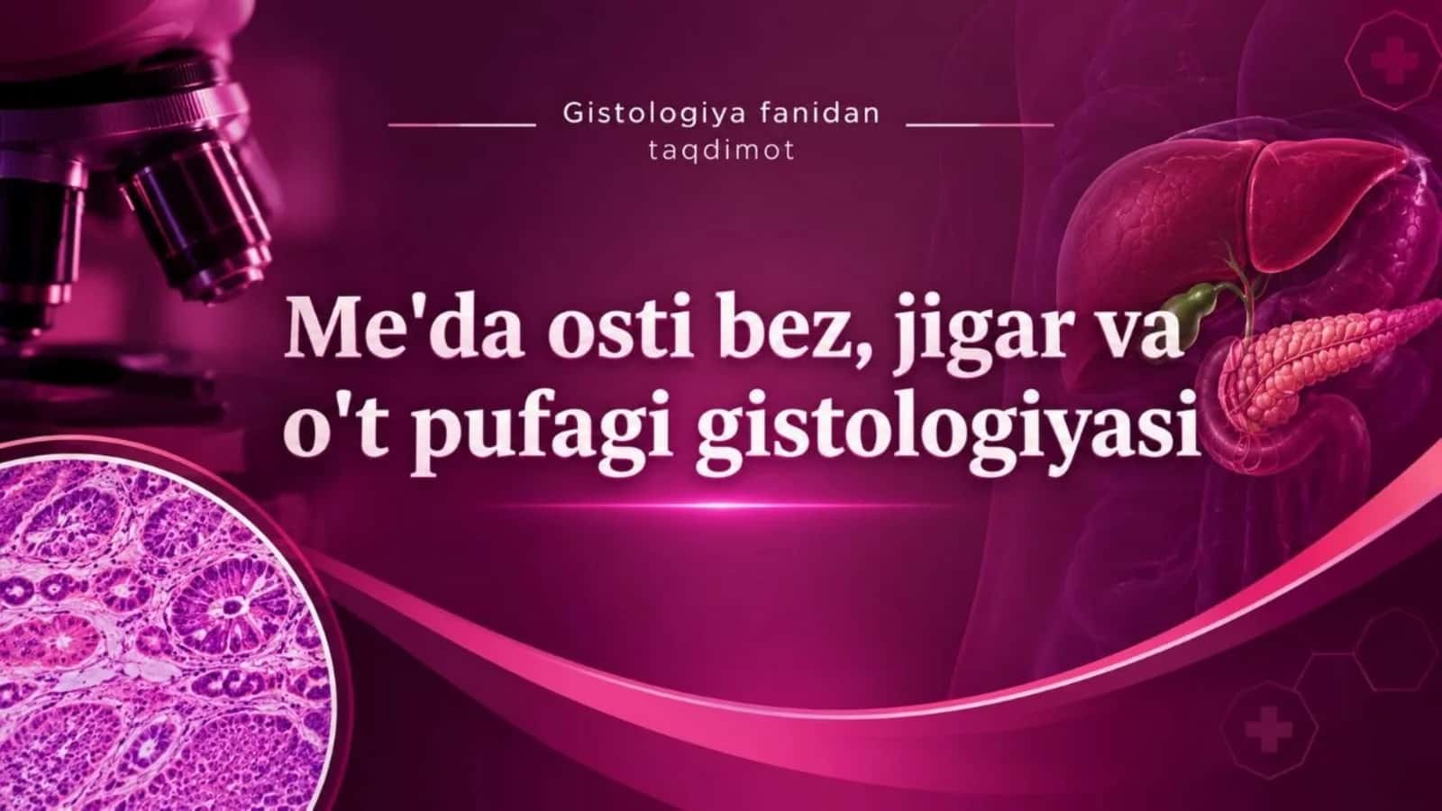 Me'da osti bez: taraqqiyoti va tuzilishi