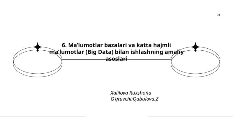 Ma'lumotlar bazalari va katta hajmli ma'lumotlar (Big Data) bilan ishlashning amaliy asoslari