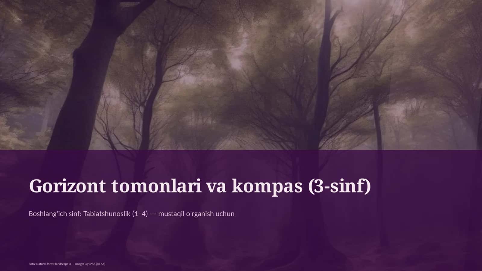 Gorizont tomonlari va kompas (3-sinf)