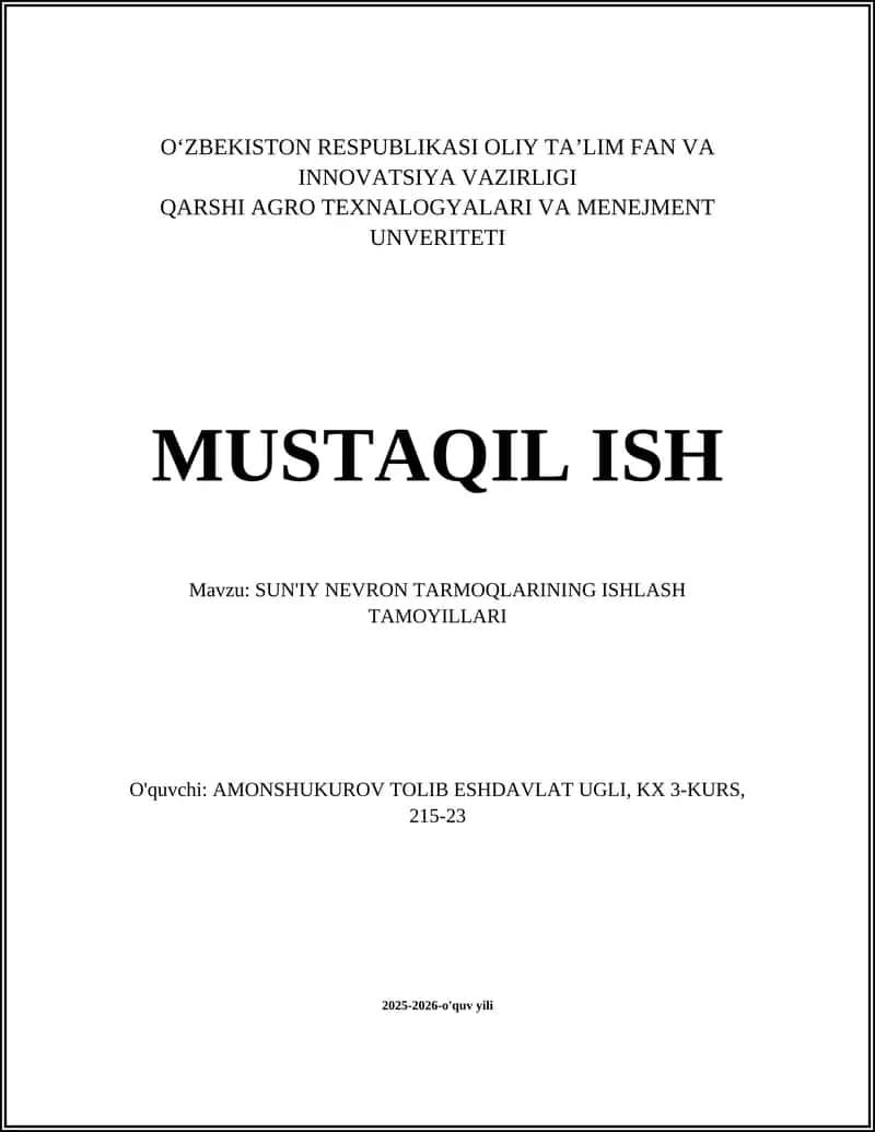 SUN'IY NEVRON TARMOQLARINING ISHLASH TAMOYILLARI