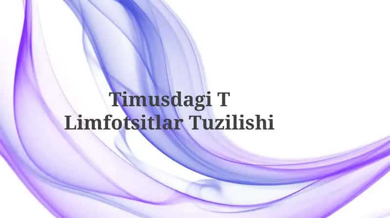 Timusdagi T Limfotsitlar Tuzilishi