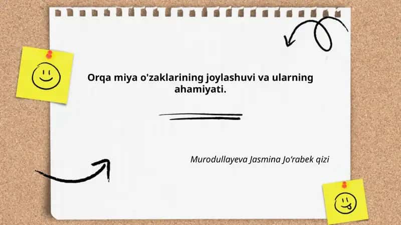 Orqa miya o'zaklari tuzilishi