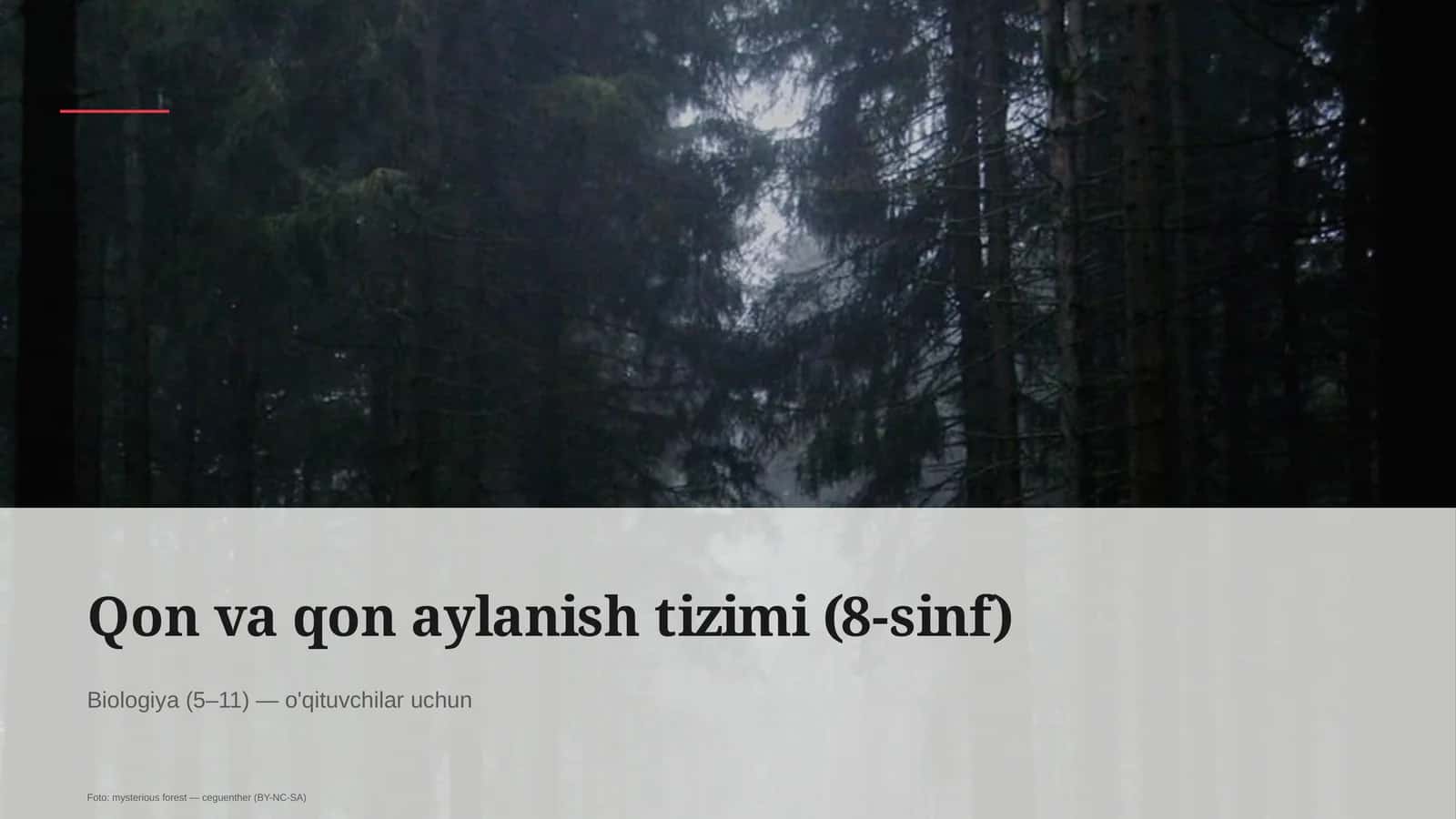 Qon va qon aylanish tizimi (8-sinf)
