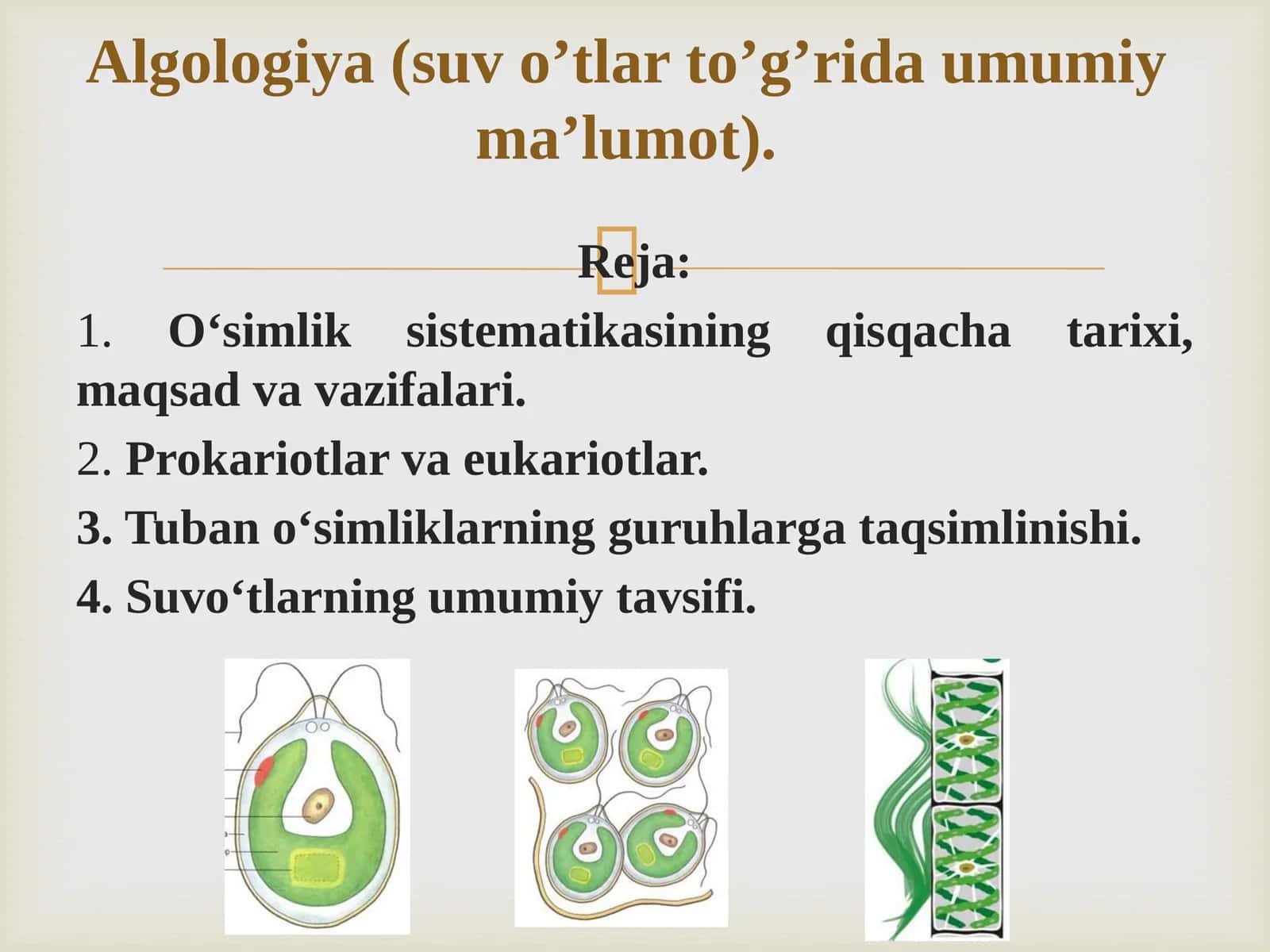 O‘simlik  sistematikasining  qisqacha  tarixi,maqsad va vazifalari