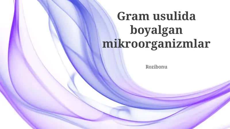 Gram usulida boyalgan mikroorganizmlar
