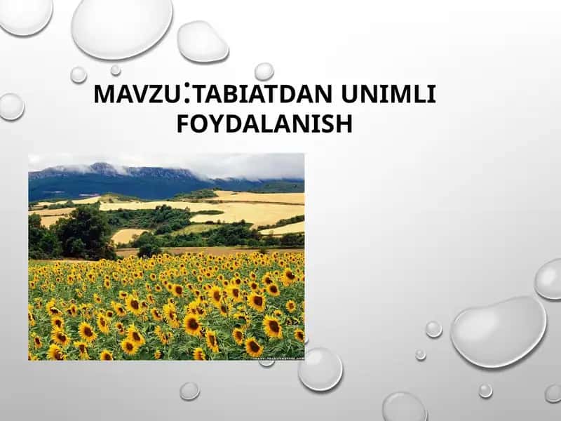 TABIATDAN UNIMLI FOYDALANISH