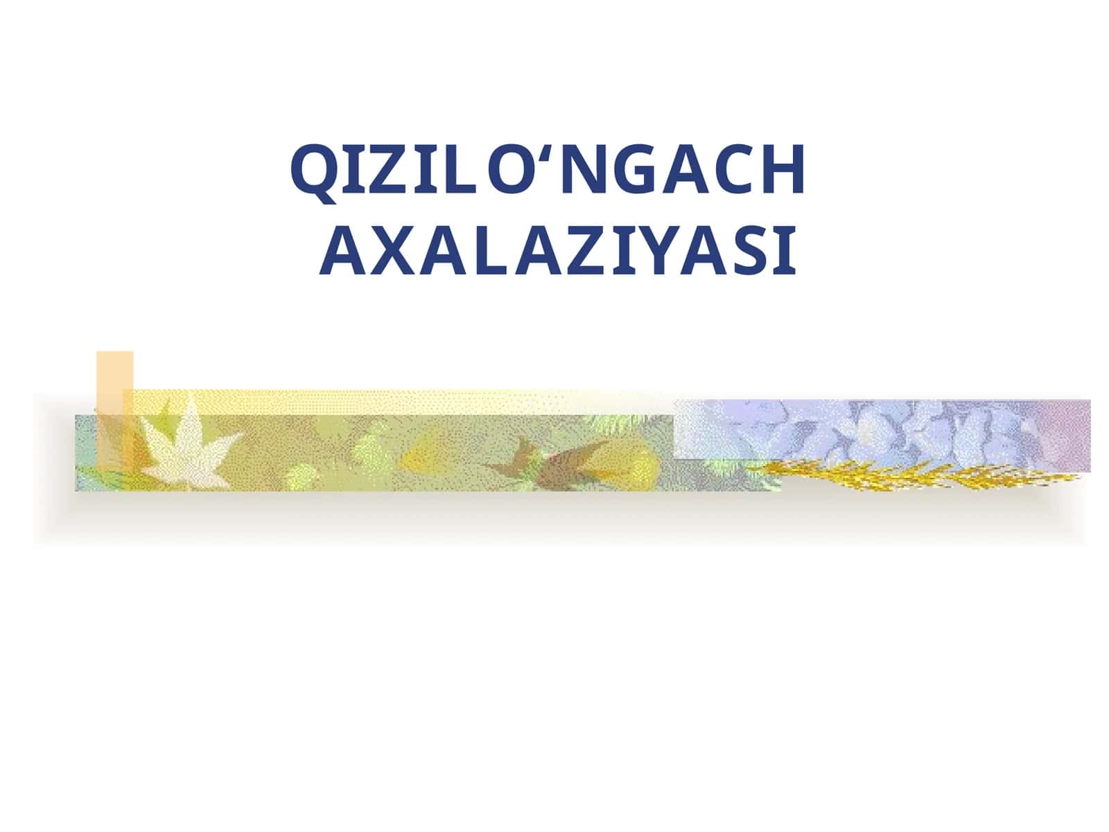 QIZILO‘NGACH  AXALAZIYASI