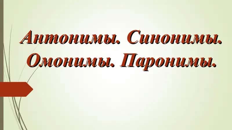 Антонимы. Синонимы. Омонимы. Паронимы.