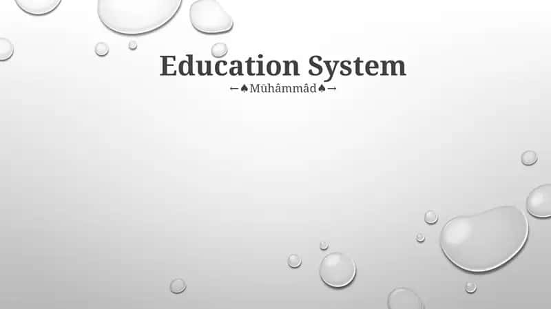 Education System