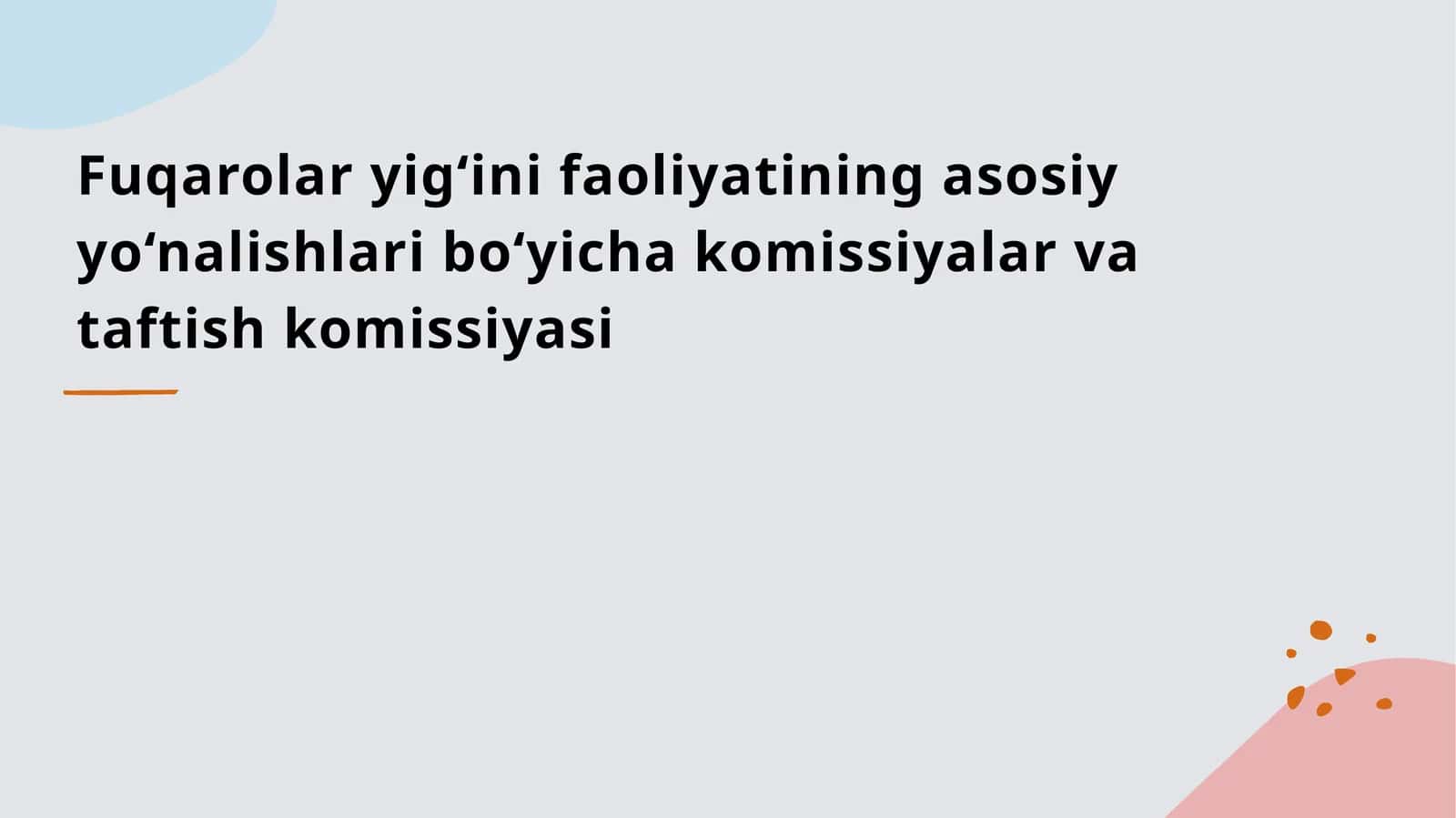 Fuqarolar yig‘ini faoliyatining asosiy yo‘nalishlari bo‘yicha komissiyalar va taftish komissiyasi