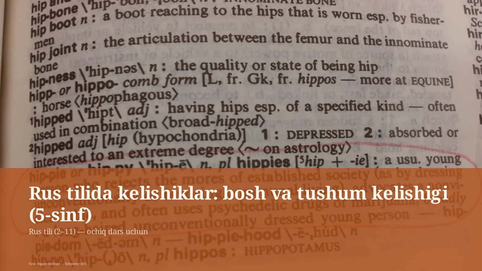 Rus tilida kelishiklar: bosh va tushum kelishigi (5-sinf)