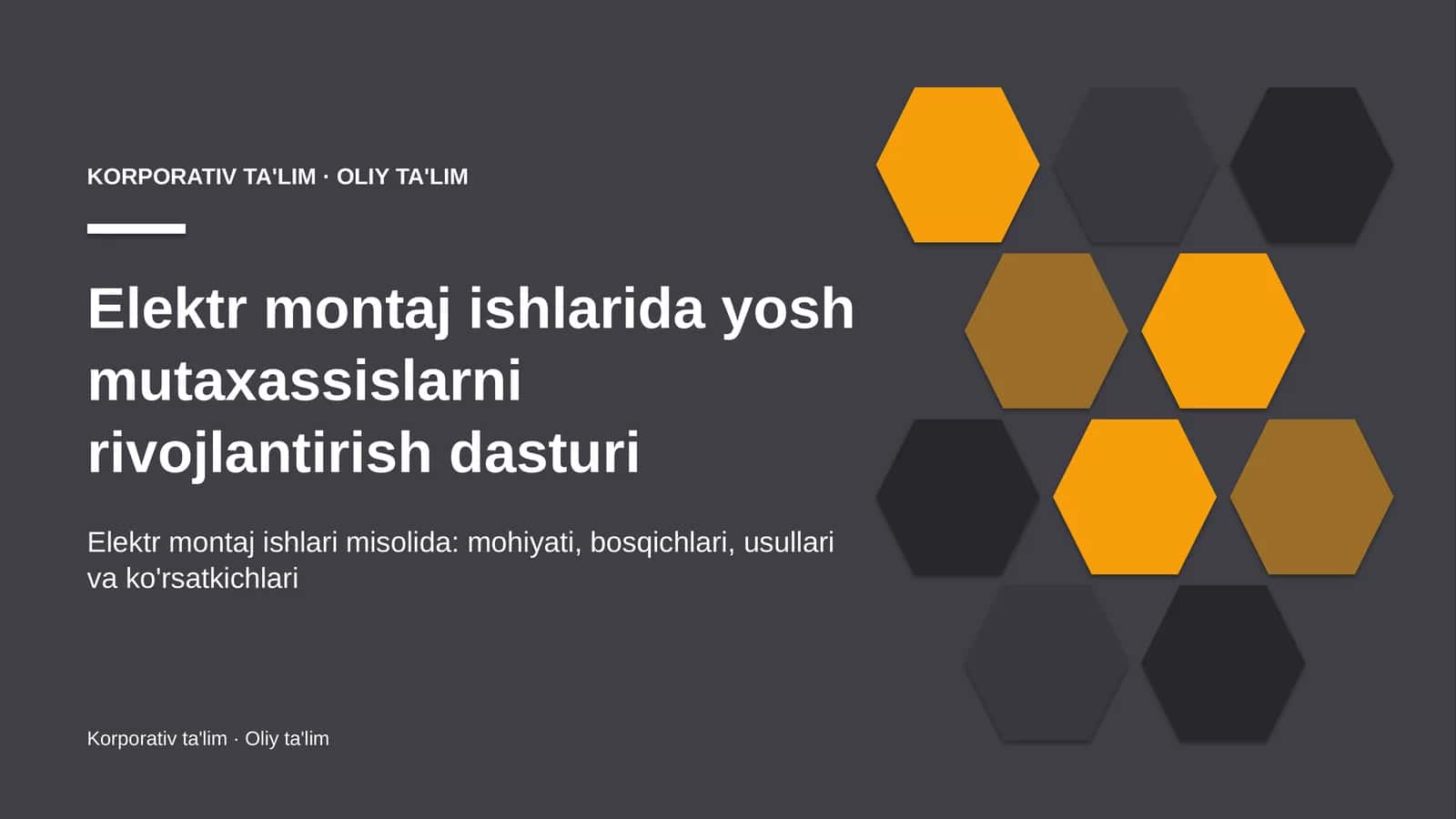 Elektr montaj ishlarida yosh mutaxassislarni rivojlantirish dasturi