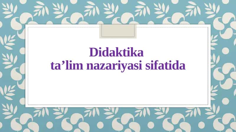 Didaktika ta’lim nazariyasi sifatida