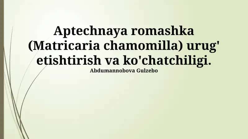 Aptechnaya romashka (Matricaria chamomilla)