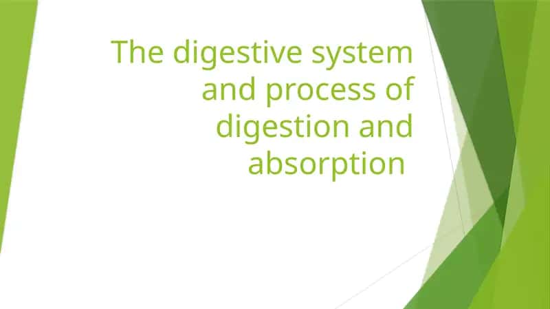 The digestive system and process of digestion and absorption