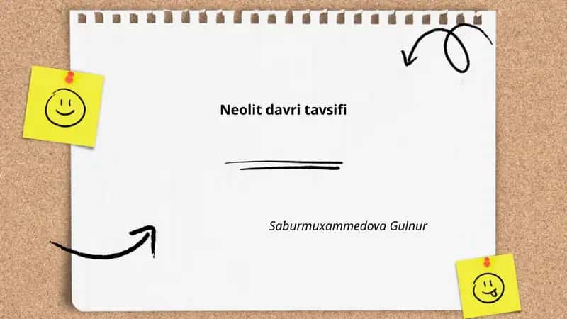 Neolit davri tavsifi