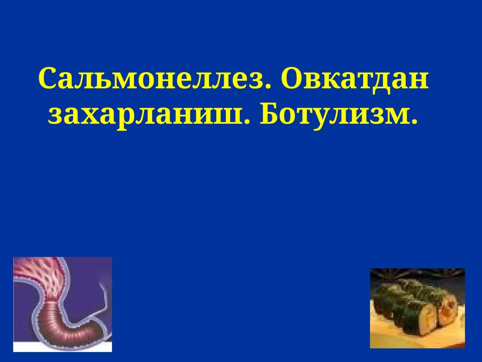 САЛЬМОНЕЛЛЁЗ