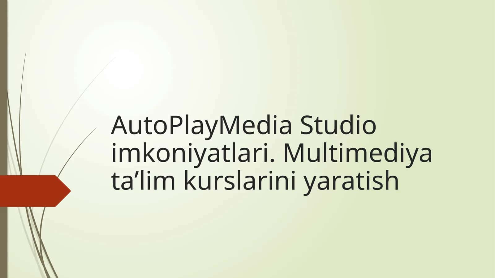 AutoPlayMedia Studio