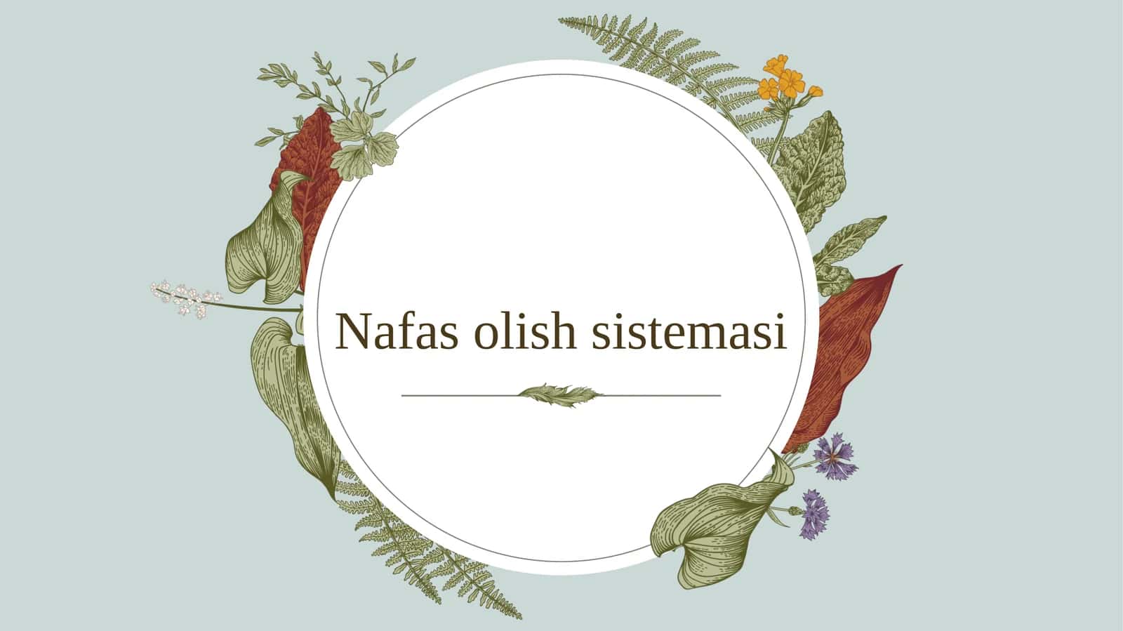 Umurtqalilar nafas olish sistemasi filogenezi