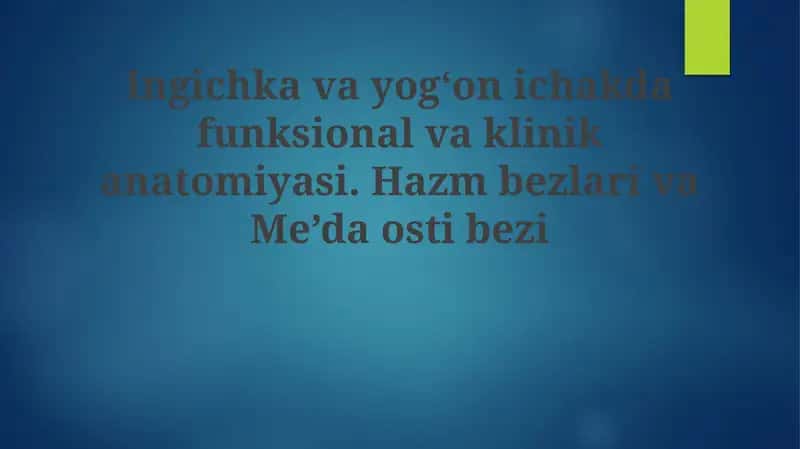 Ingichkavayogʻonichakdafunksionalvaklinikanatomiyasi