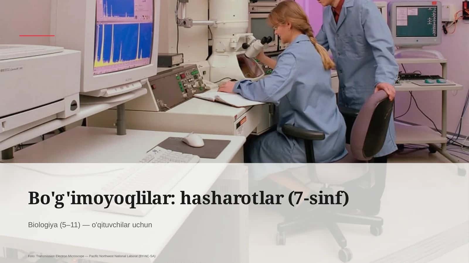 Bo'g'imoyoqlilar: hasharotlar (7-sinf)
