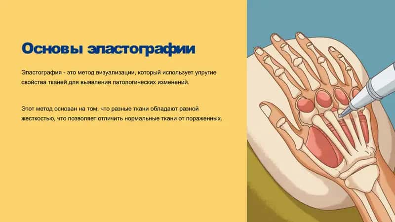 Основы эластографии