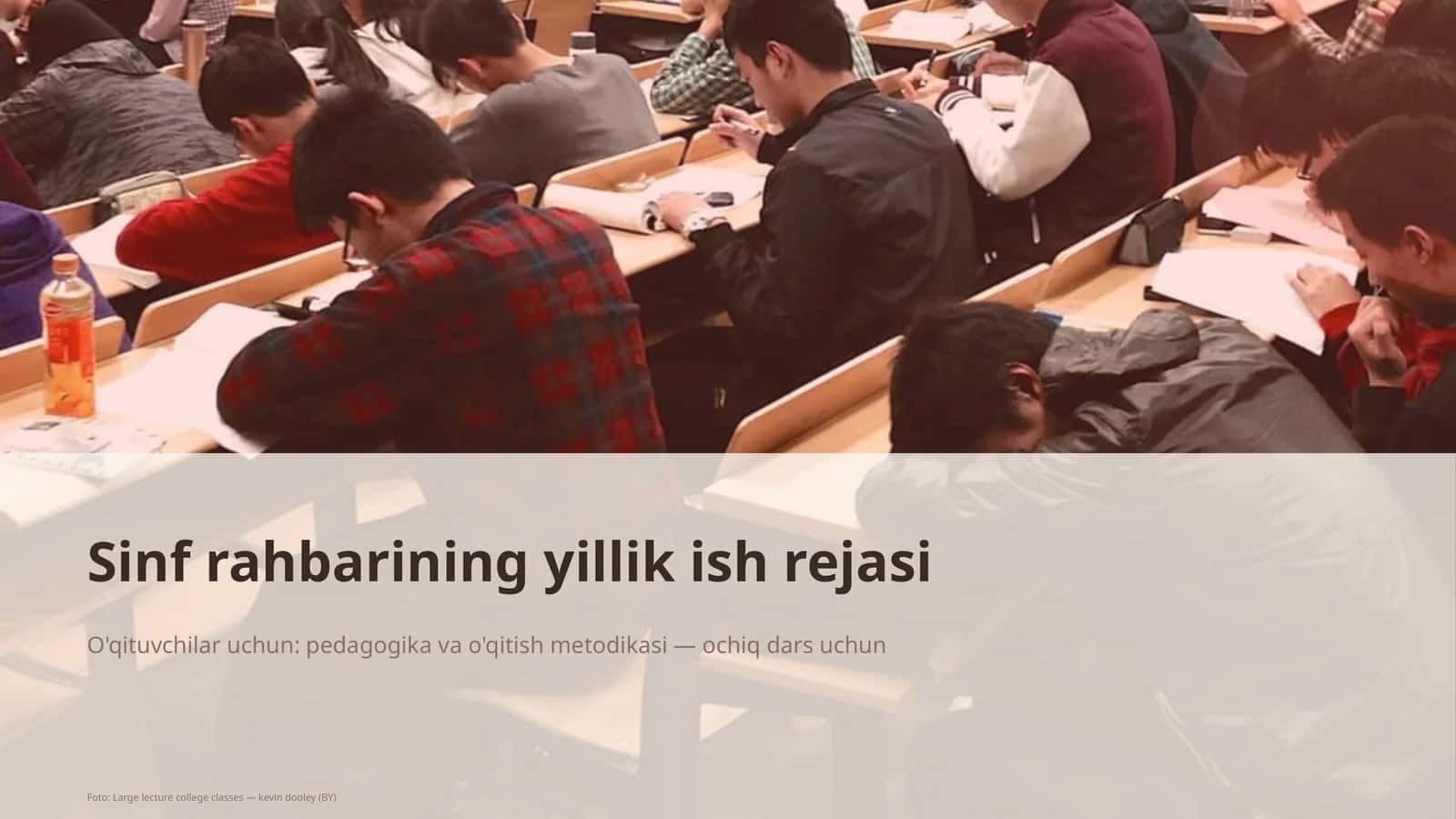 Sinf rahbarining yillik ish rejasi