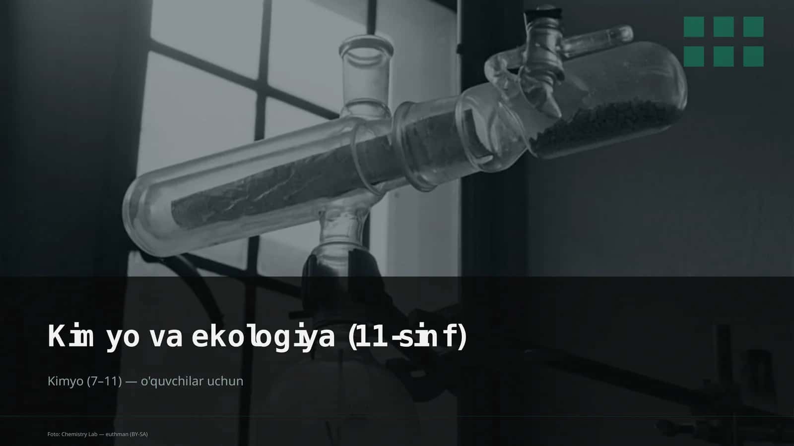 Kimyo va ekologiya (11-sinf)