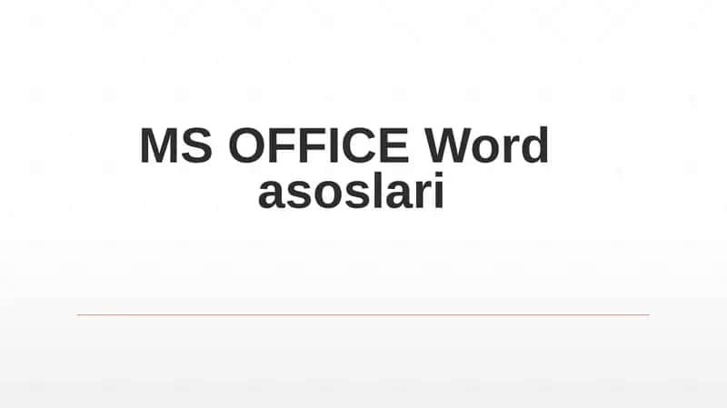 MS OFFICE Wordasoslari