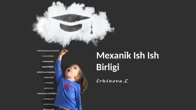 Mexanik Ish Ish Birligi