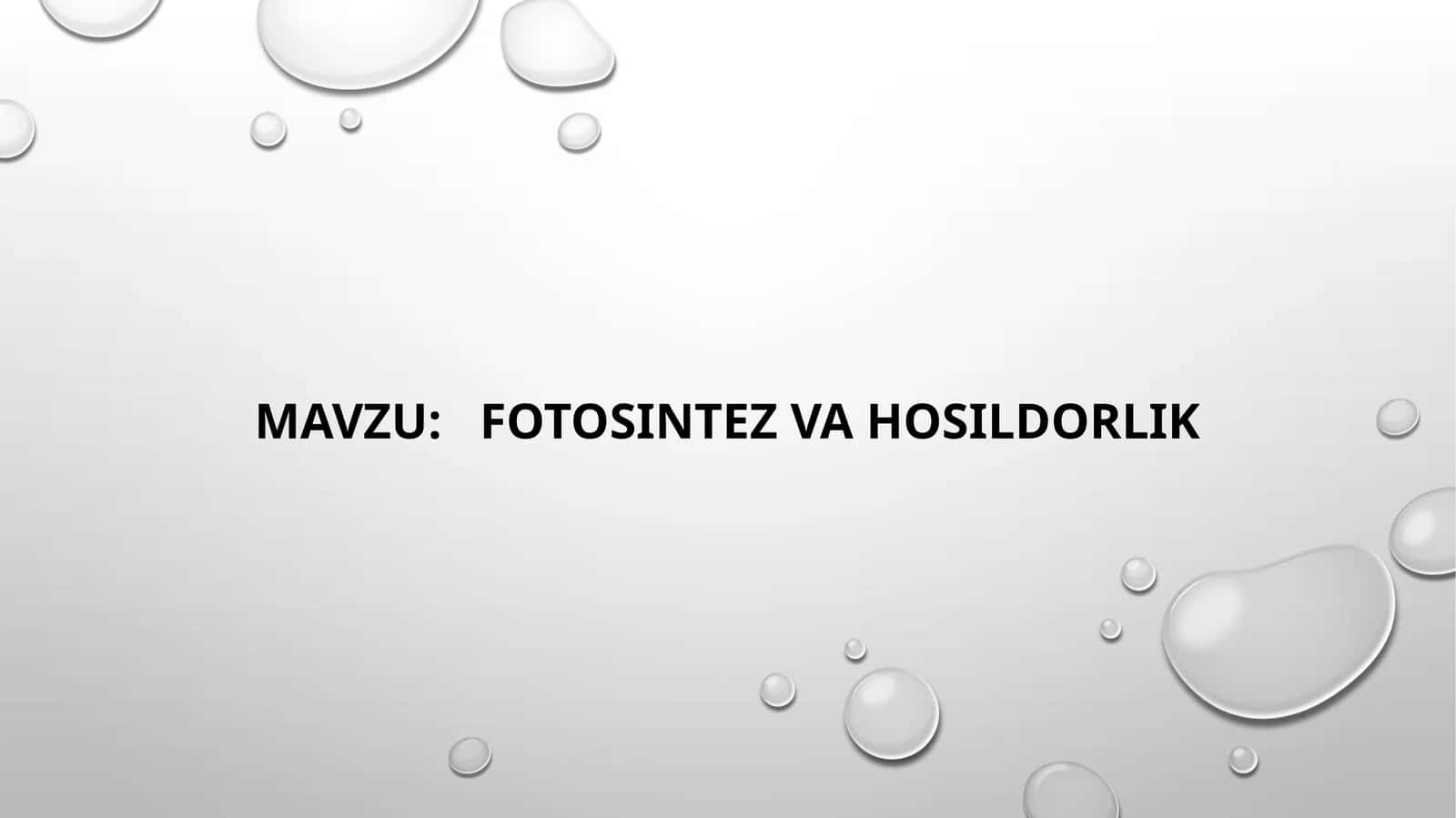 Fotosintez  va  hosildorlik
