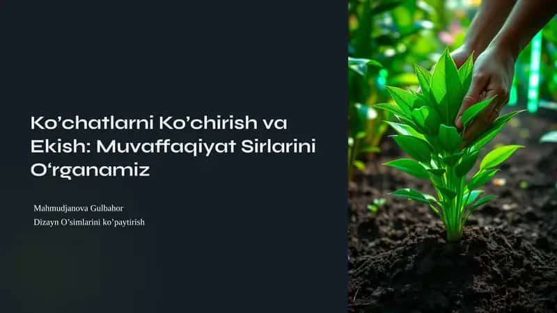 Ko’chatlarni Ko’chirish va Ekish: Muvaffaqiyat Sirlarini O‘rganamiz