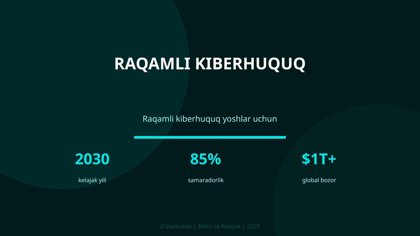 Raqamli kiberhuquq