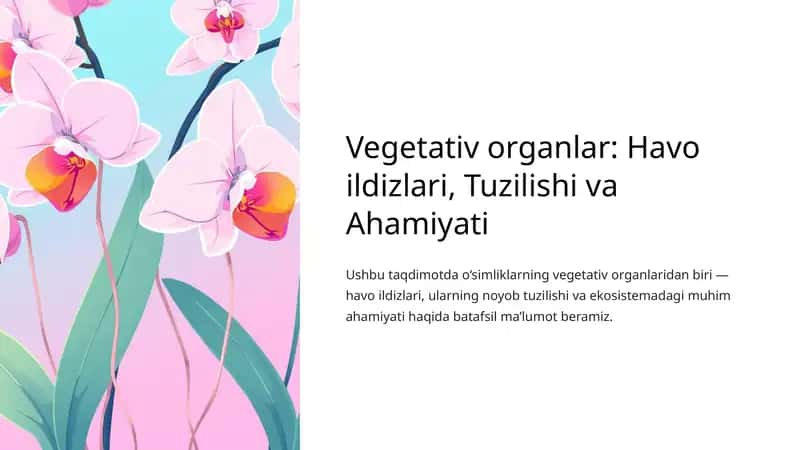 Vegetativ organlar: Havo ildizlari, Tuzilishi va Ahamiyati
