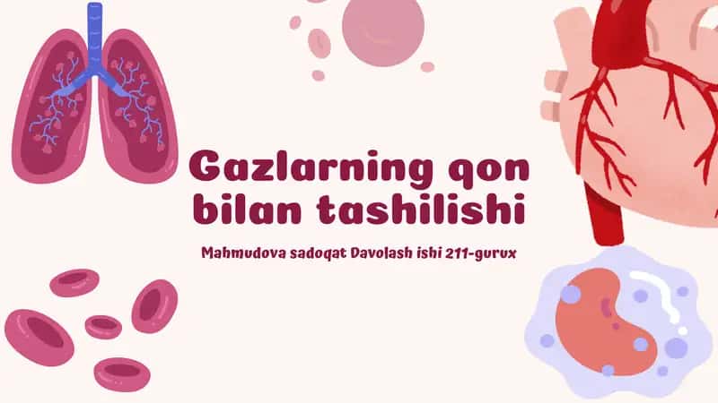 Nafas yo'llari fiziologiyasi va o'pkada gazlar almashinuvi