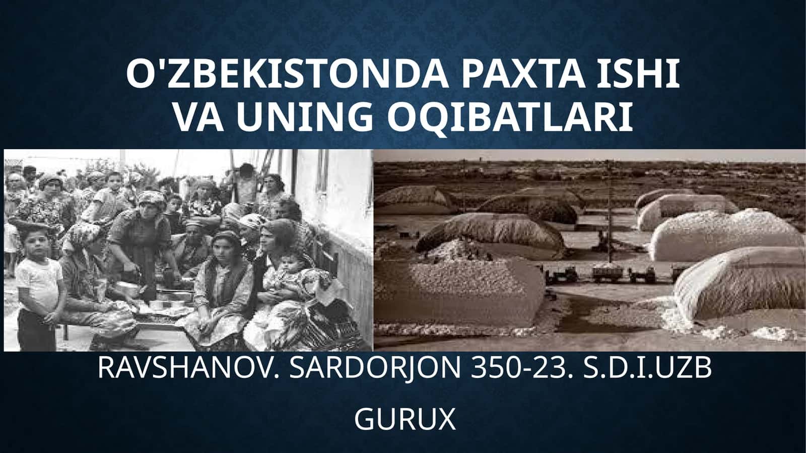 O'zbekistonda paxta ishlab chiqarish bo'yicha qibatlari