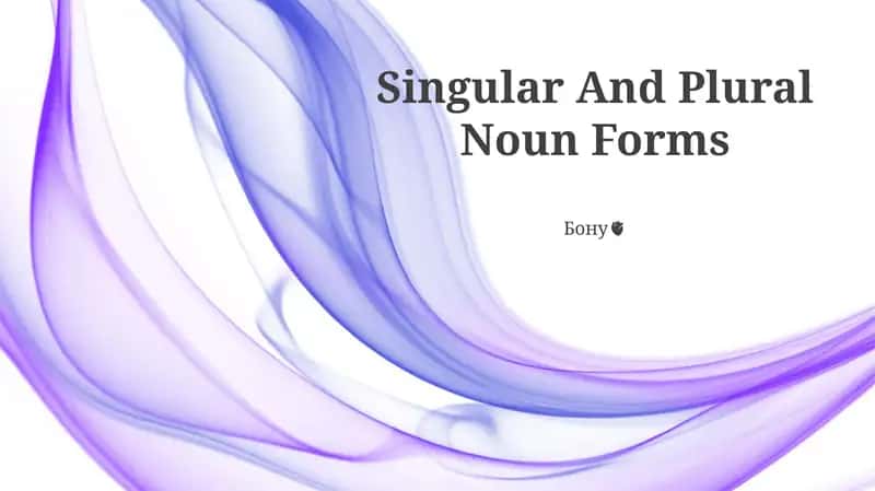 Singular And Plural Noun Forms