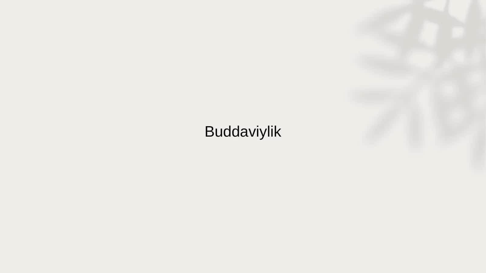 Buddaviylik